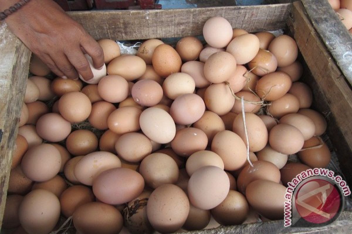 Harga Telur Ayam di Madiun Tembus Rp23.000/Kg