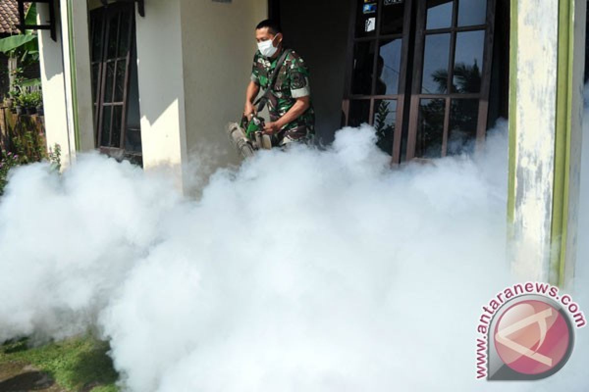 Warga perlu waspada, enam kecamatan di Batang-Jateng endemik demam berdarah