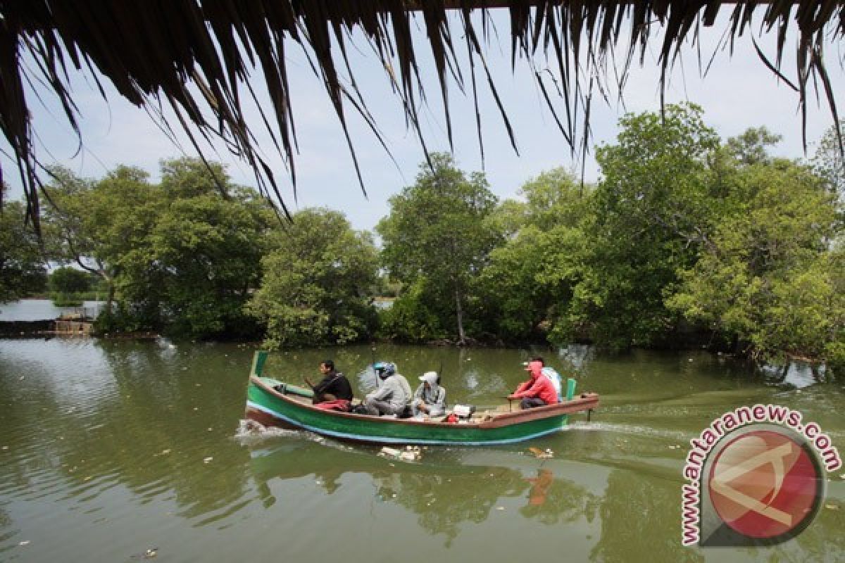 Ekowisata mangrove Bantul dilengkapi menara pandang