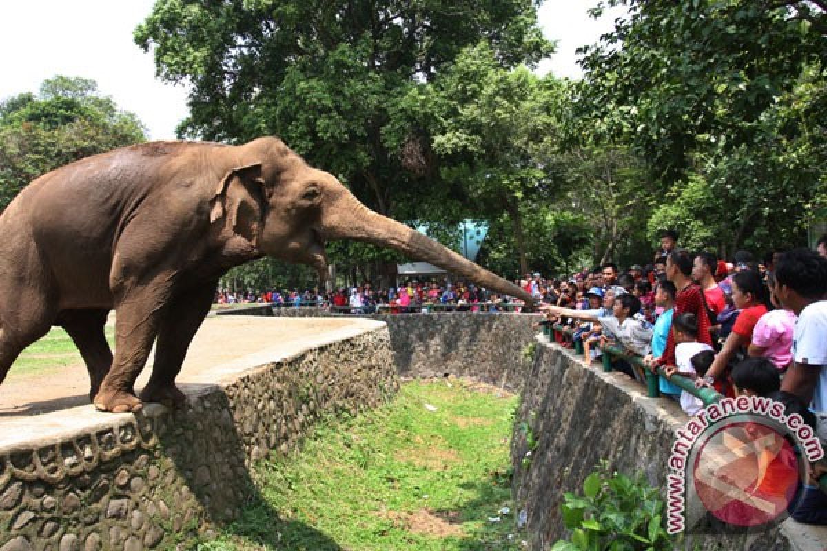 President Jokowi committed to revitalizing two zoos