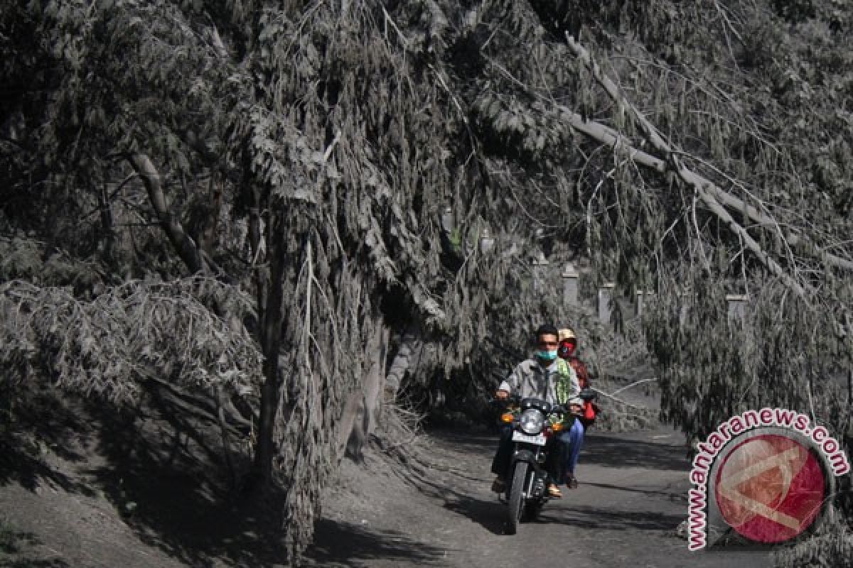 Hoaks! Jalur wisata Gunung Bromo amblas