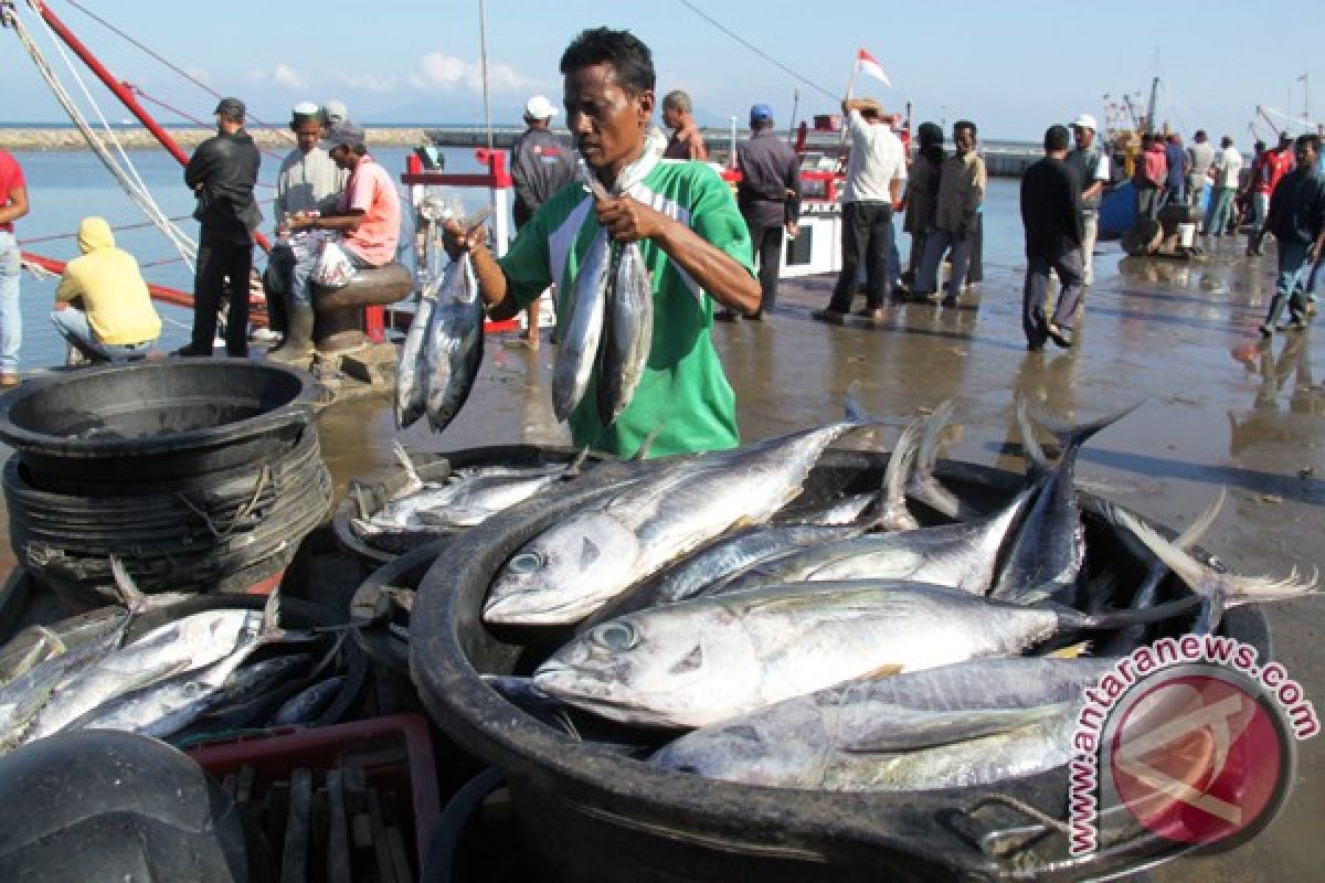 Pedagang Ikan Meulaboh Keluar Pasar