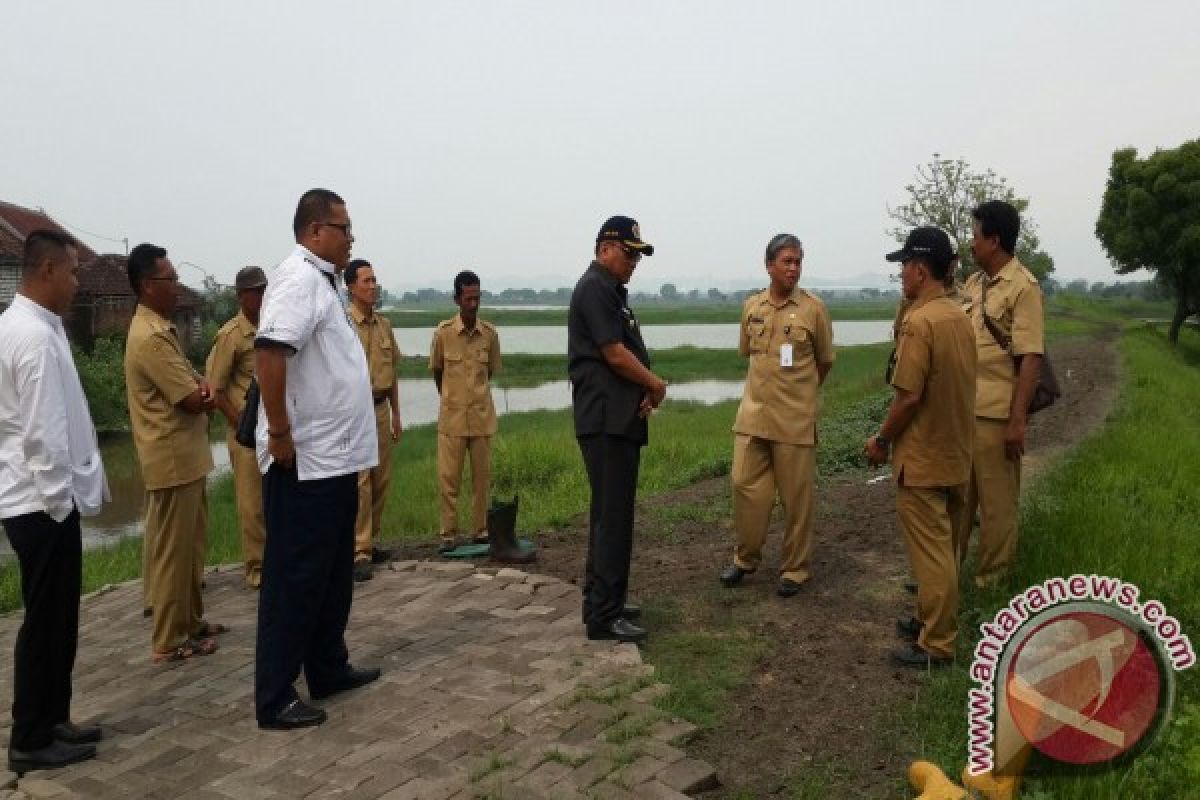 Bupati Gresik, Akmal Boedianto Tinjau Desa Rawan Banjir  