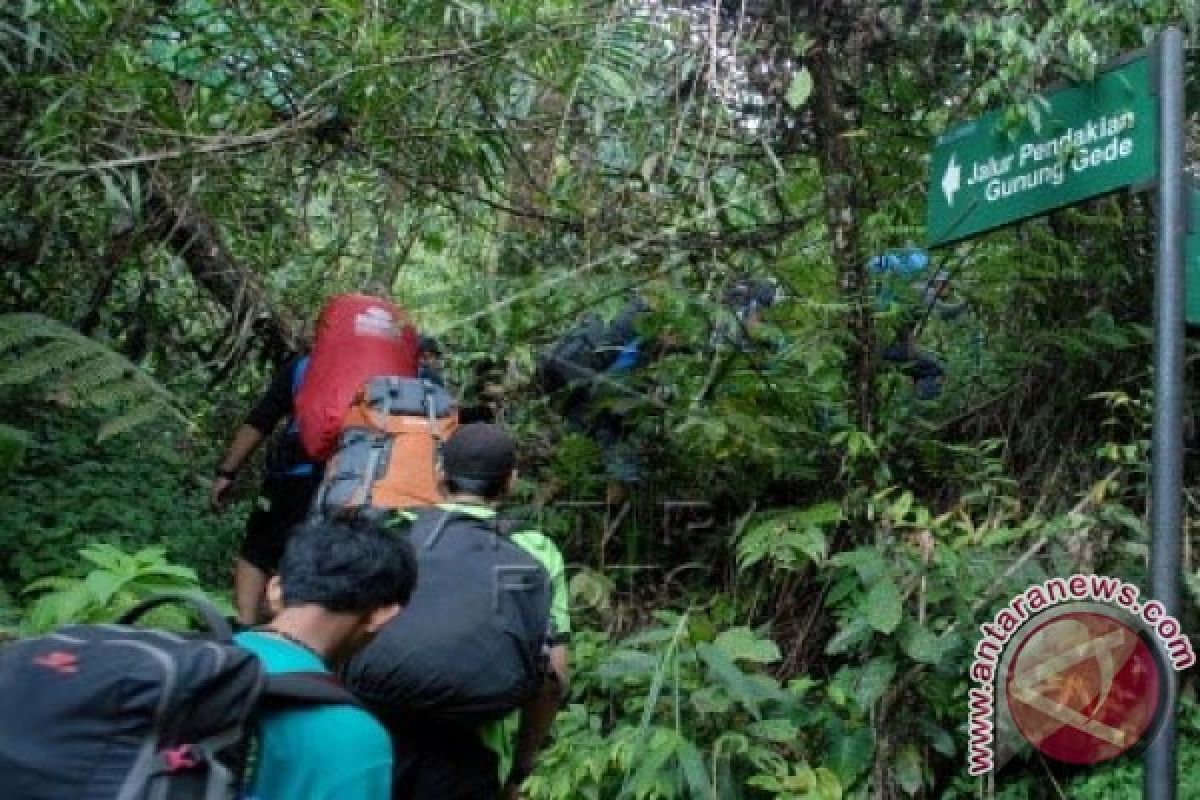 13 Pendaki Sukabumi Tersesat Di Gunung Gede