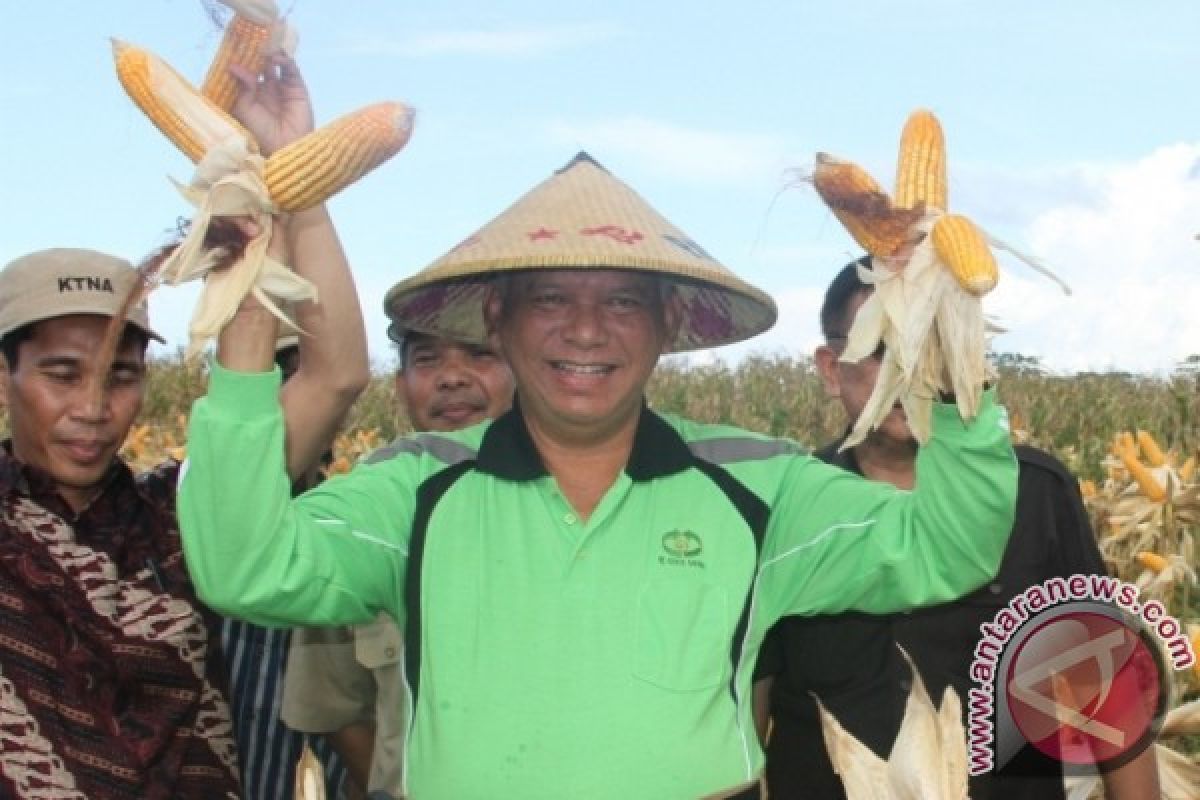   Ketahanan Pangan Turunkan Angka Kemiskinan