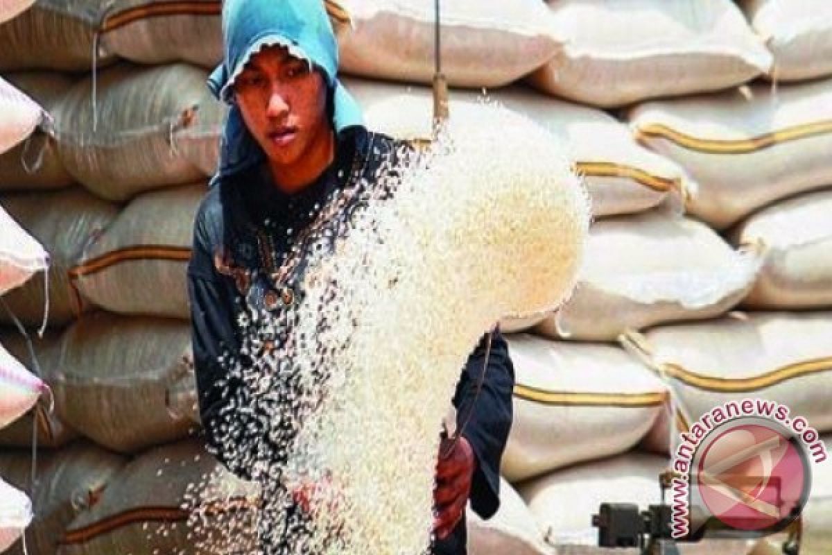 Stok beras Maluku Tengah aman