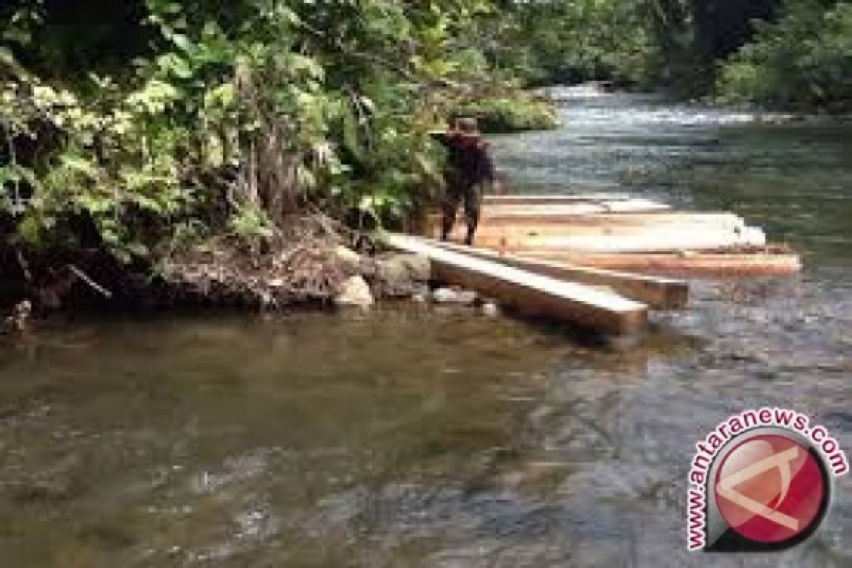 WWF: Manfaatkan hasil hutan bukan kayunya