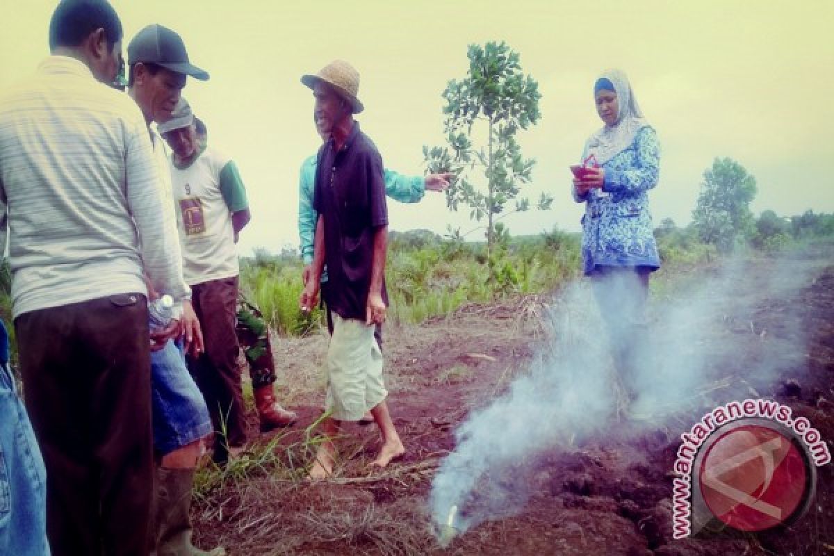 Dinas Pertanian Gandeng Babinsa Basmi Tikus Sawah