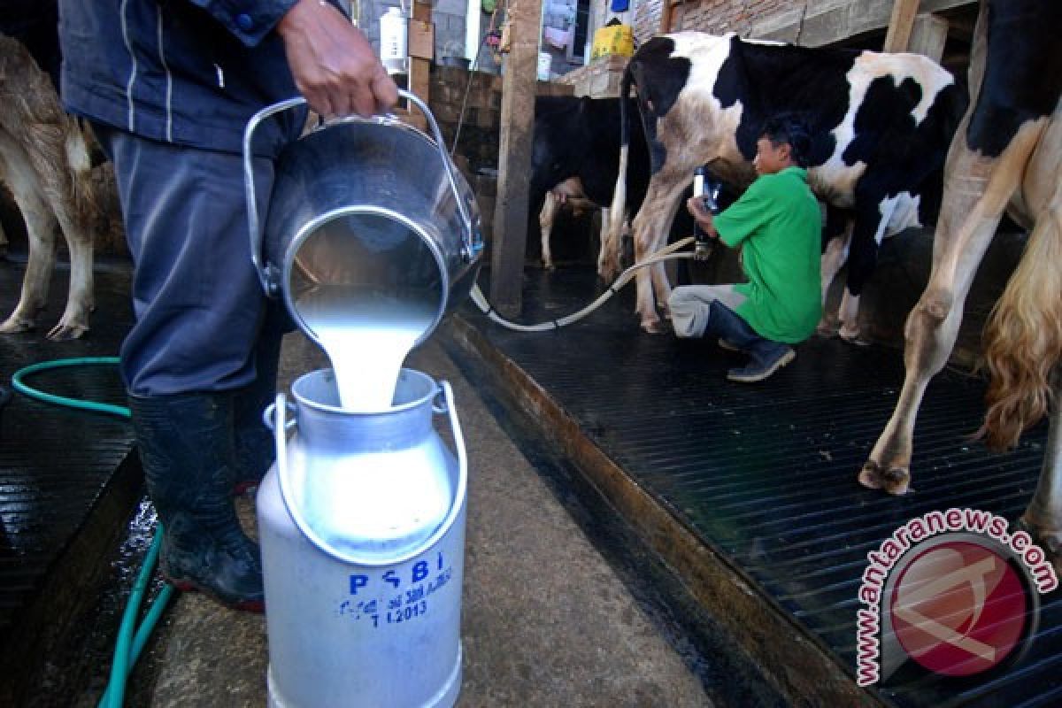 Bermitra dengan peternak susu, Kemenperin usulkan BMTDP untuk industri