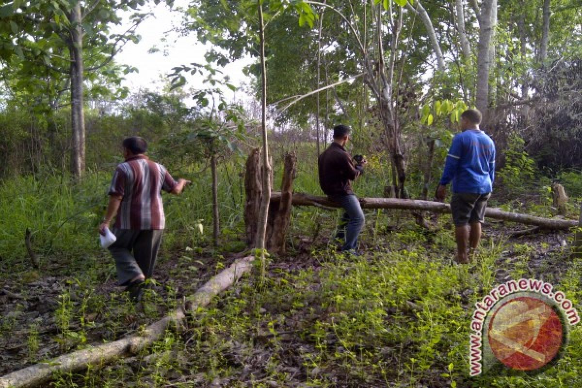 Lahan diserobot pemiliknya malah dipenjara 