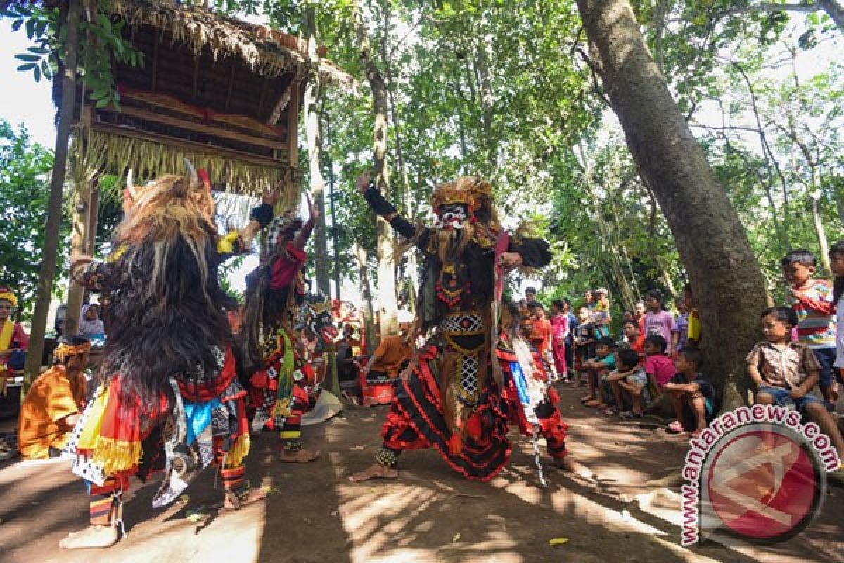 Suku osing Banyuwangi gelar ritual barong ider