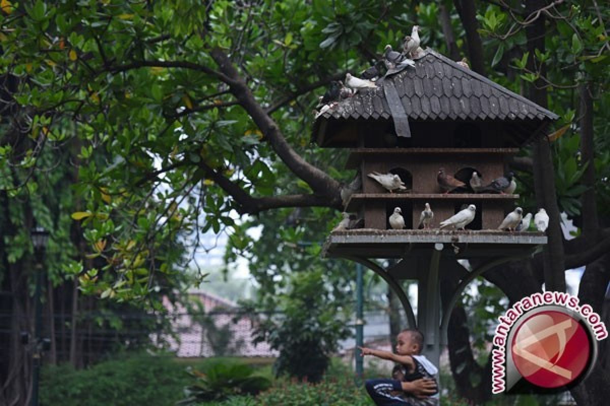 Kota Jambi gandeng  Ragunan buat taman burung