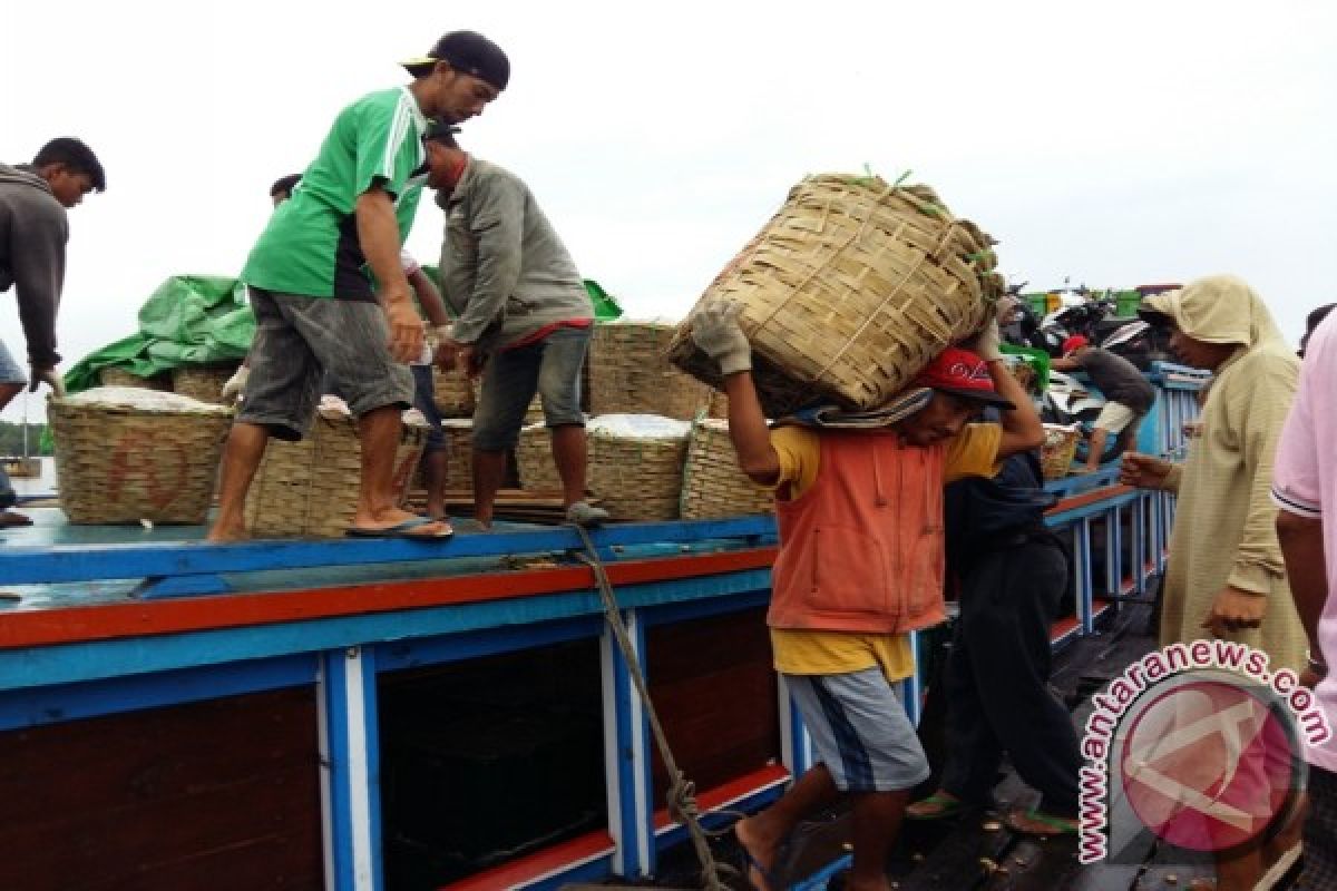 Langsat Punggur Banjiri Ketapang