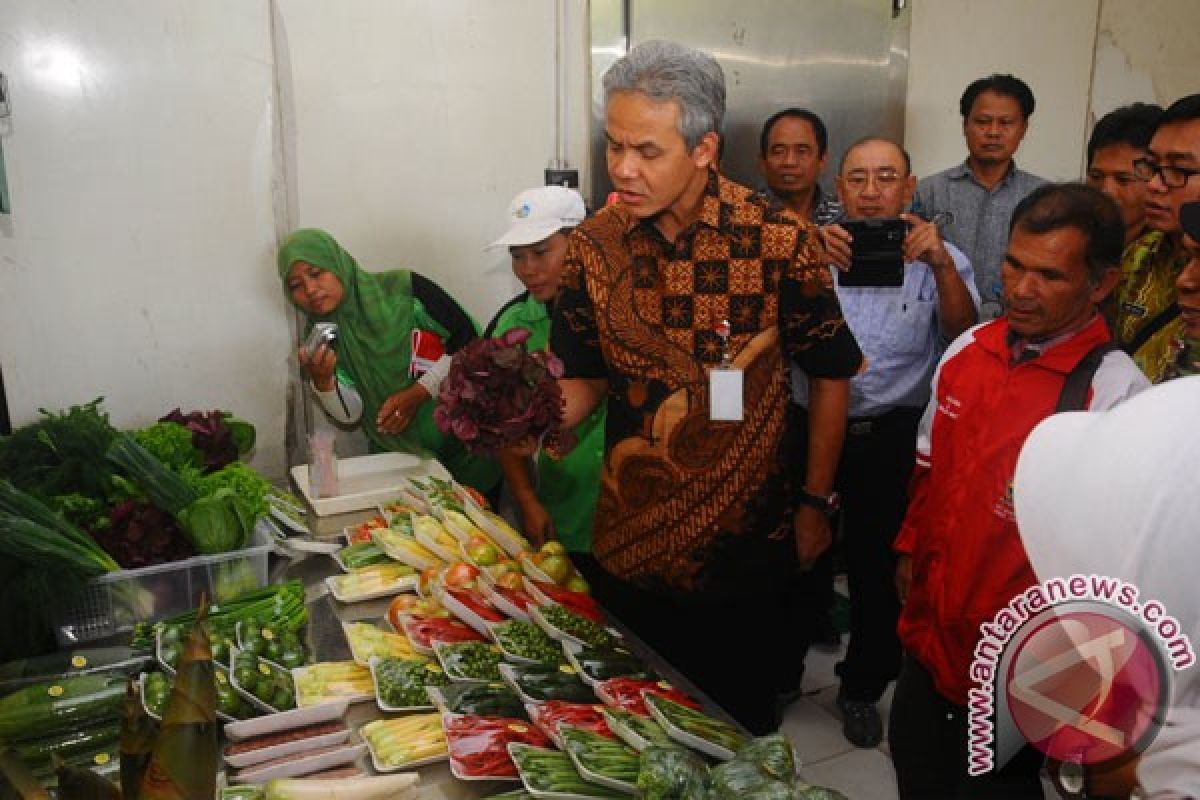 Petani Merbabu pasok sayuran ke pasar modern