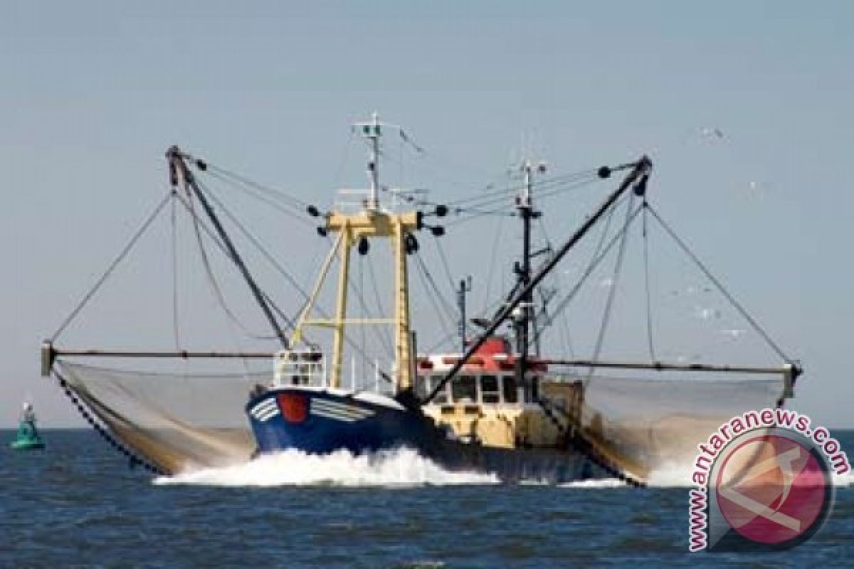Waduh! Langgar Jalur Penangkapan Ikan, Dua Kapal Cumi-Cumi Diamankan