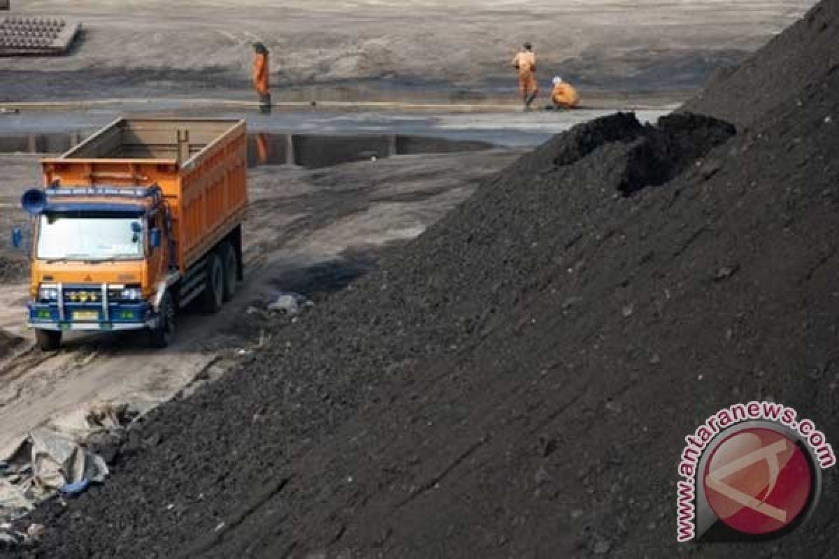 Puluhan perusahaan tambang batu bara terancam gulung tikar