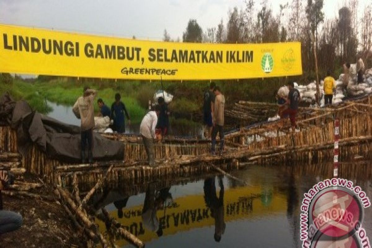 Pemprov Jambi komitmen rehabilitasi lahan gambut