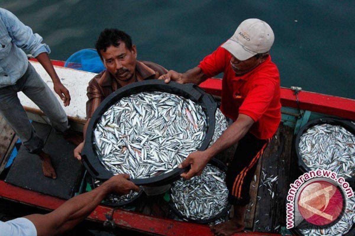 Pemerintah Bangka Salurkan Bantuan Jaring Ikan Nelayan