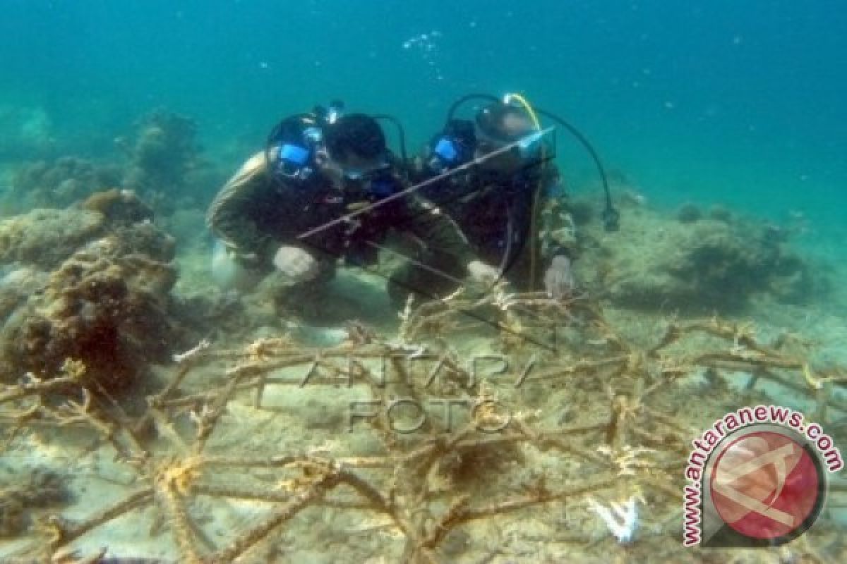 Polisi Sultra selamatkan 904.800 m2 terumbu karang dari kerusakan