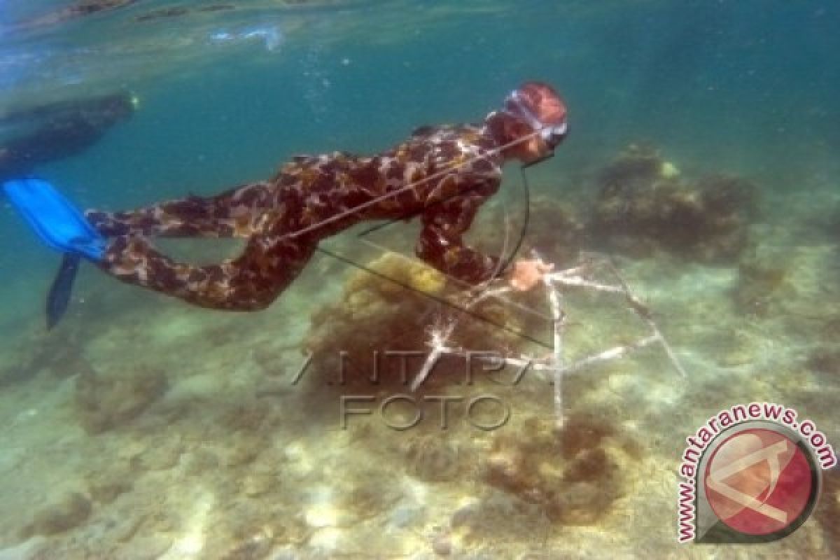 Prajurit Lantamal VI Selami Laut Pulau Samalona