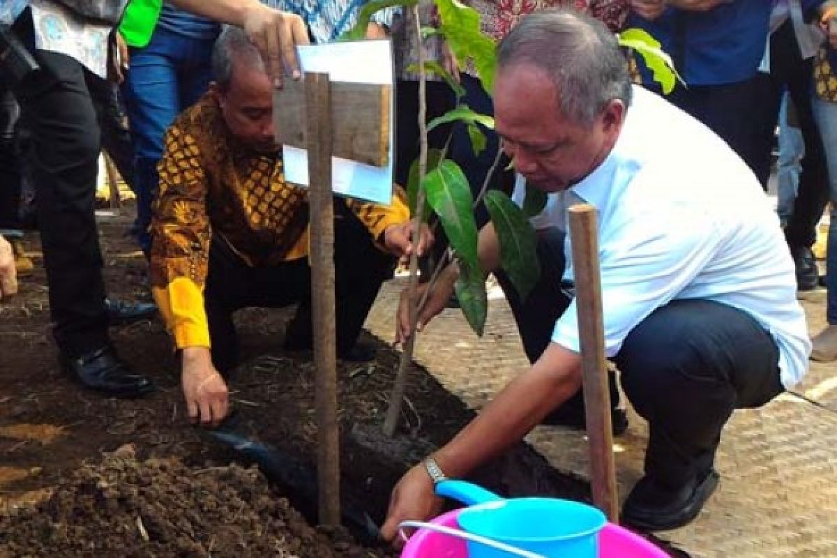 Menristek Tanam Pohon di Areal Pengembangan Untidar