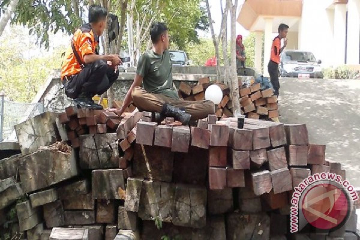 Dishutbun Penajam Lelang Belasan Kubik Kayu Ilegal