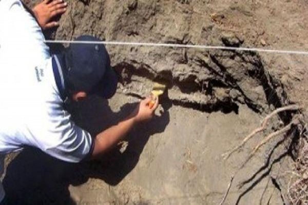 Archeologists find Bojonegoro`s stone tombs megalithic in nature