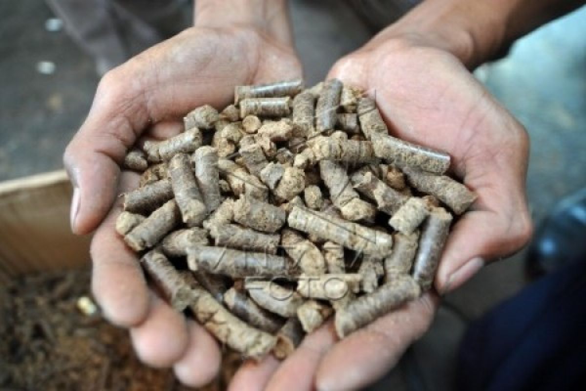 Buang Limbah Sembarangan, Pabrik Kayu di Kudus Ditegur