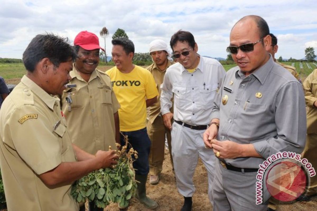 JICA Bina Penyuluh Tingkatkan Pertanian Taput