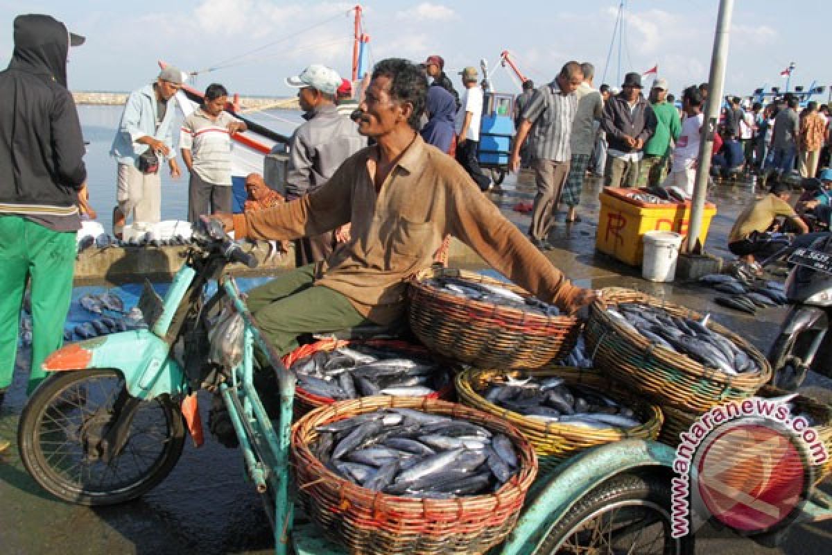 Menteri Kelautan dorong ekspor ikan dapat langsung dari Aceh