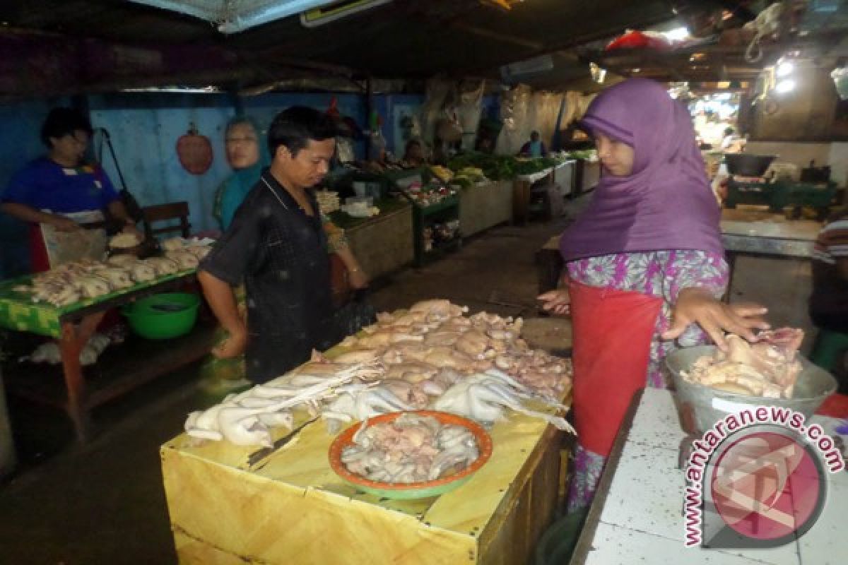 Harga Daging Ayam Potong di Bojonegoro Naik Rp3.000/Kg