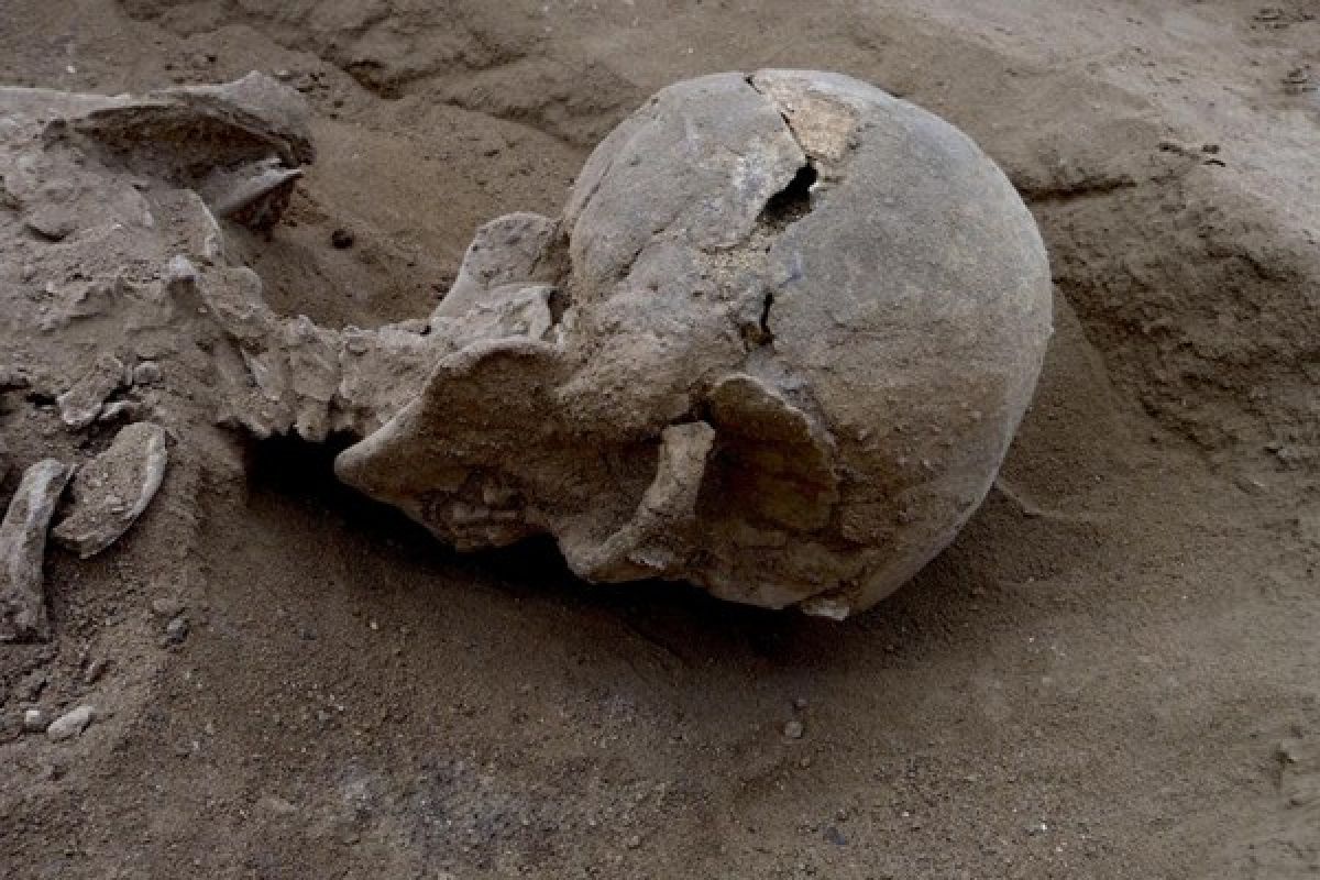 Peneliti temukan bukti peperangan tertua di Kenya 