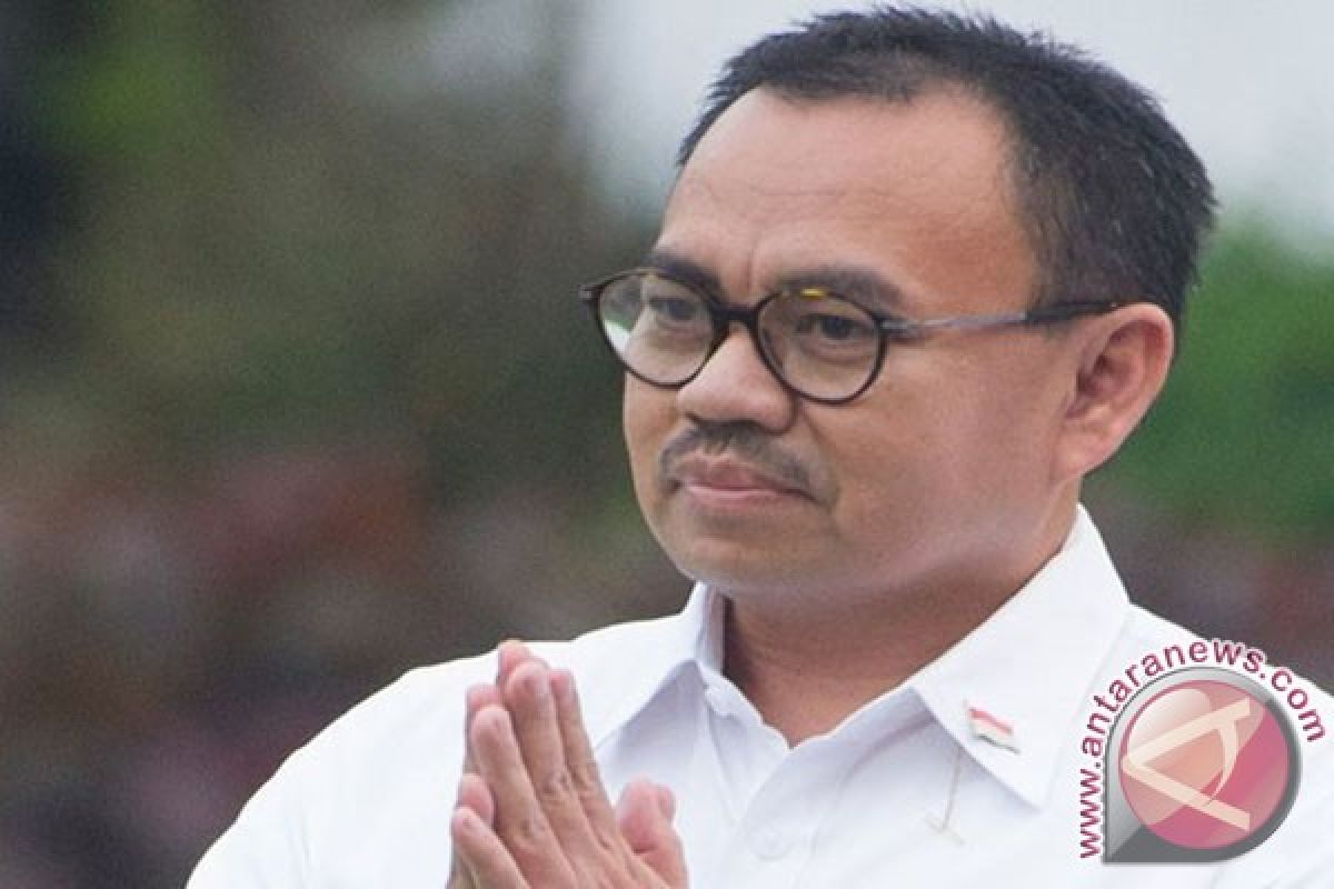 Menteri: Tunggu tim evaluasi harga saham Freeport