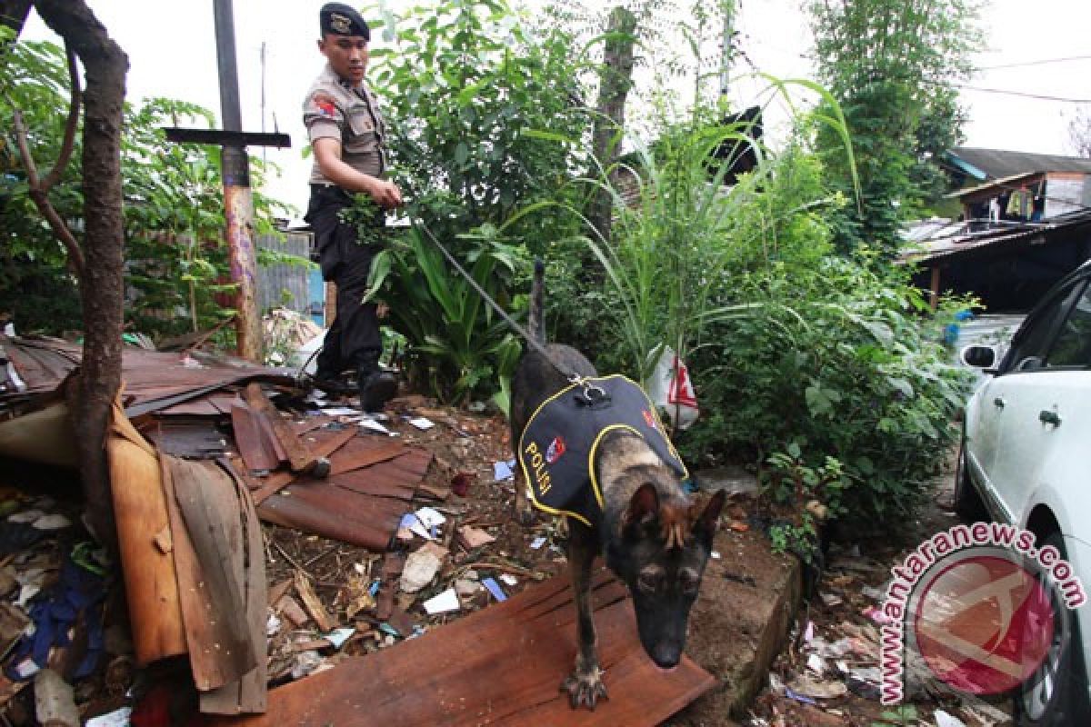 Diburu, 11 pengeroyok anggota polisi