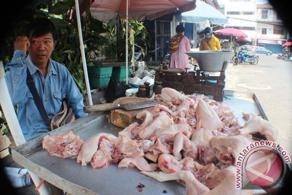 Pedagang daging ayam kurang stok penjualan