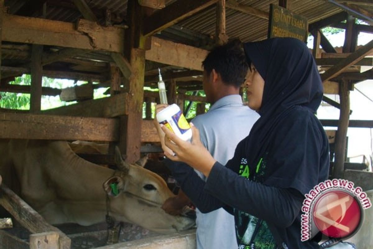 Dokter Hewan Raih Prestasi Tingkat Provinsi 