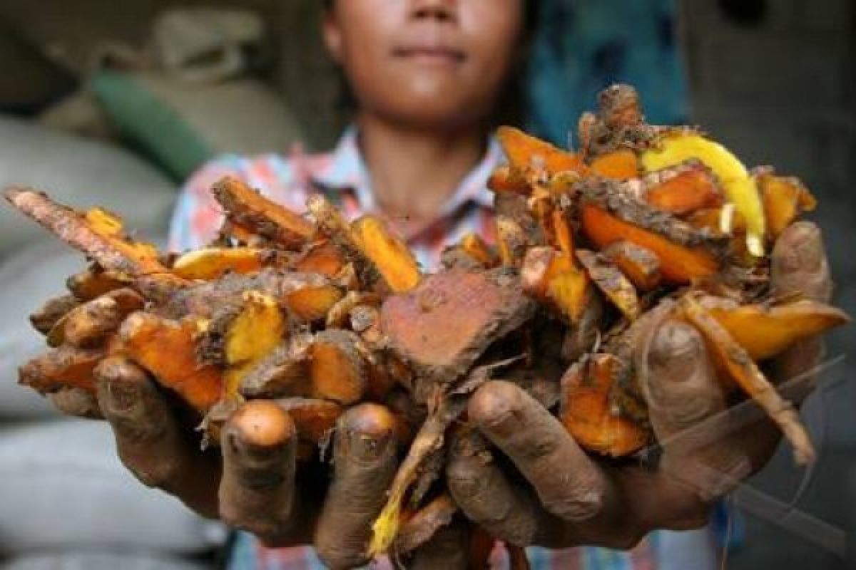 Industri jamu alami perkembangan pesat