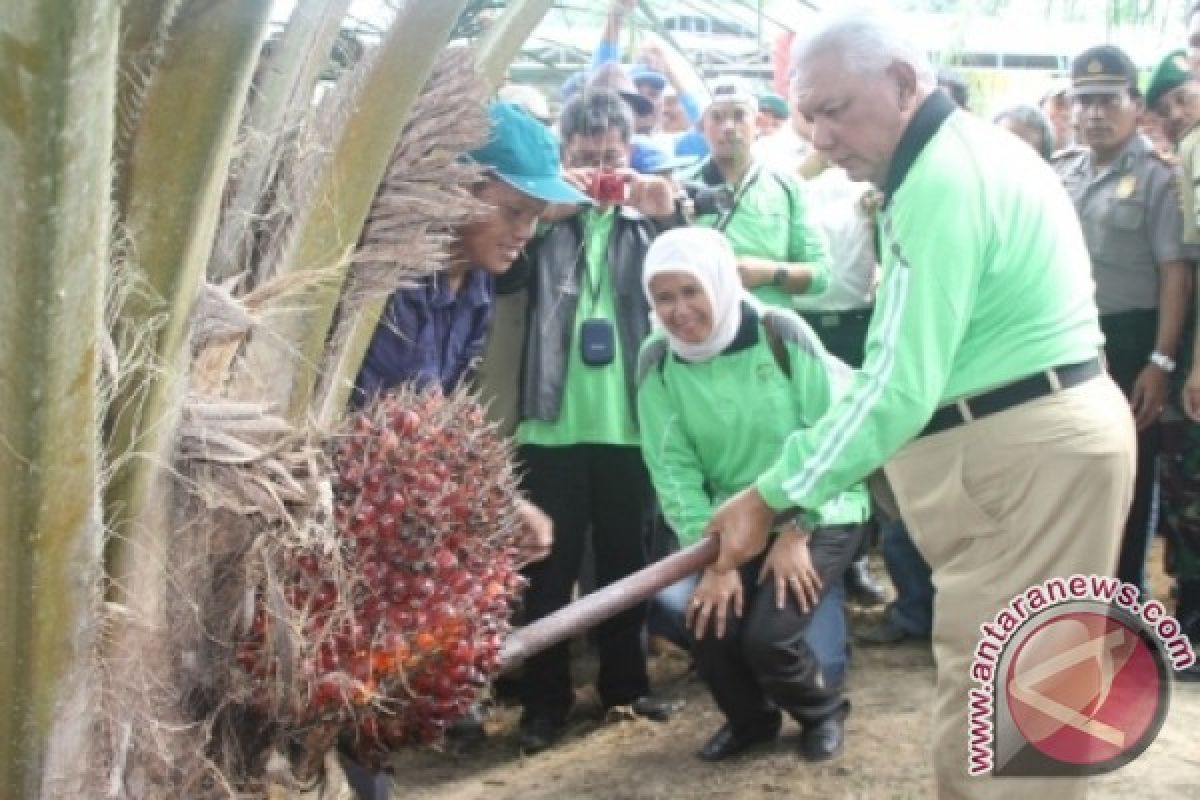 Awang: Moratorium Terus Berlanjut