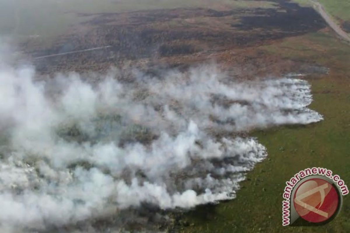 Sumsel petakan lahan rawan terbakar