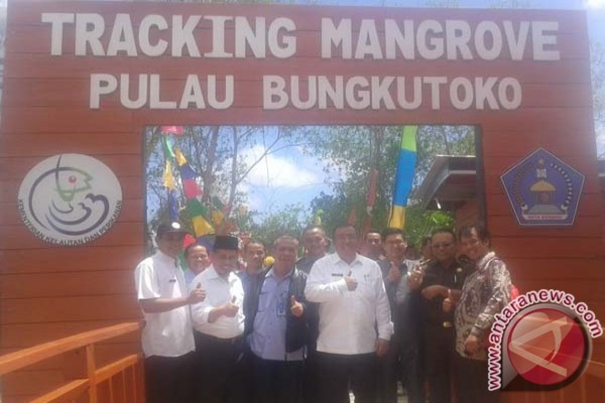 Pemkot Resmikan Kawasan Ekowisata Tracking Mangrove Bungkutoko