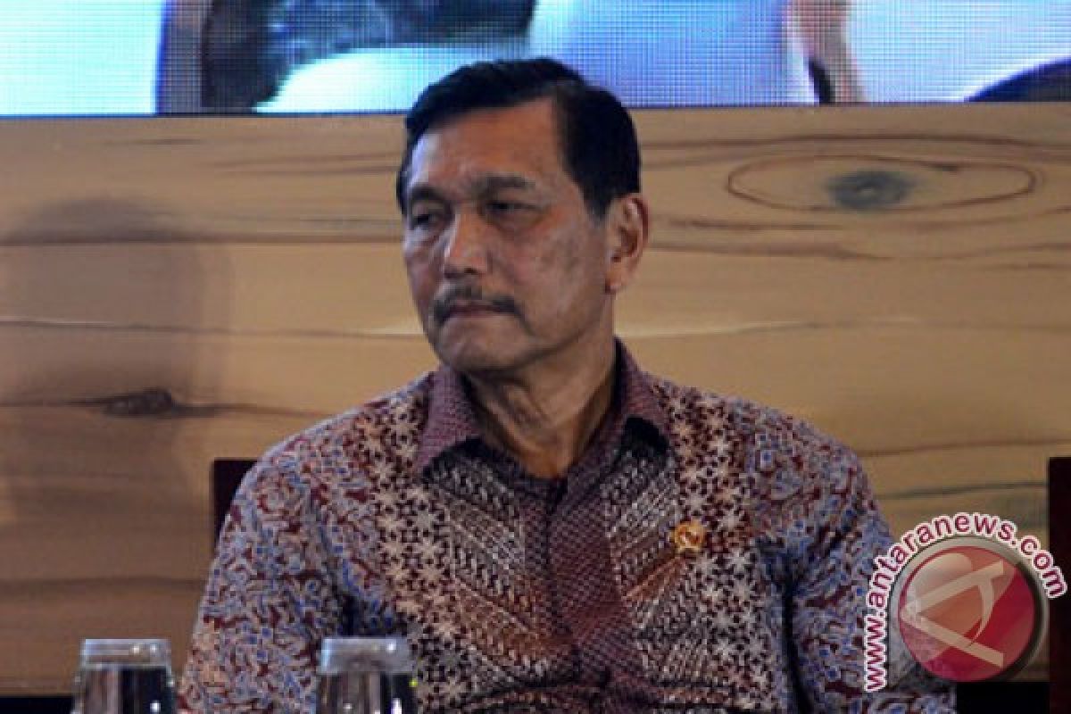 Luhut: Presiden siapkan opsi penyelesaian kisruh Freeport