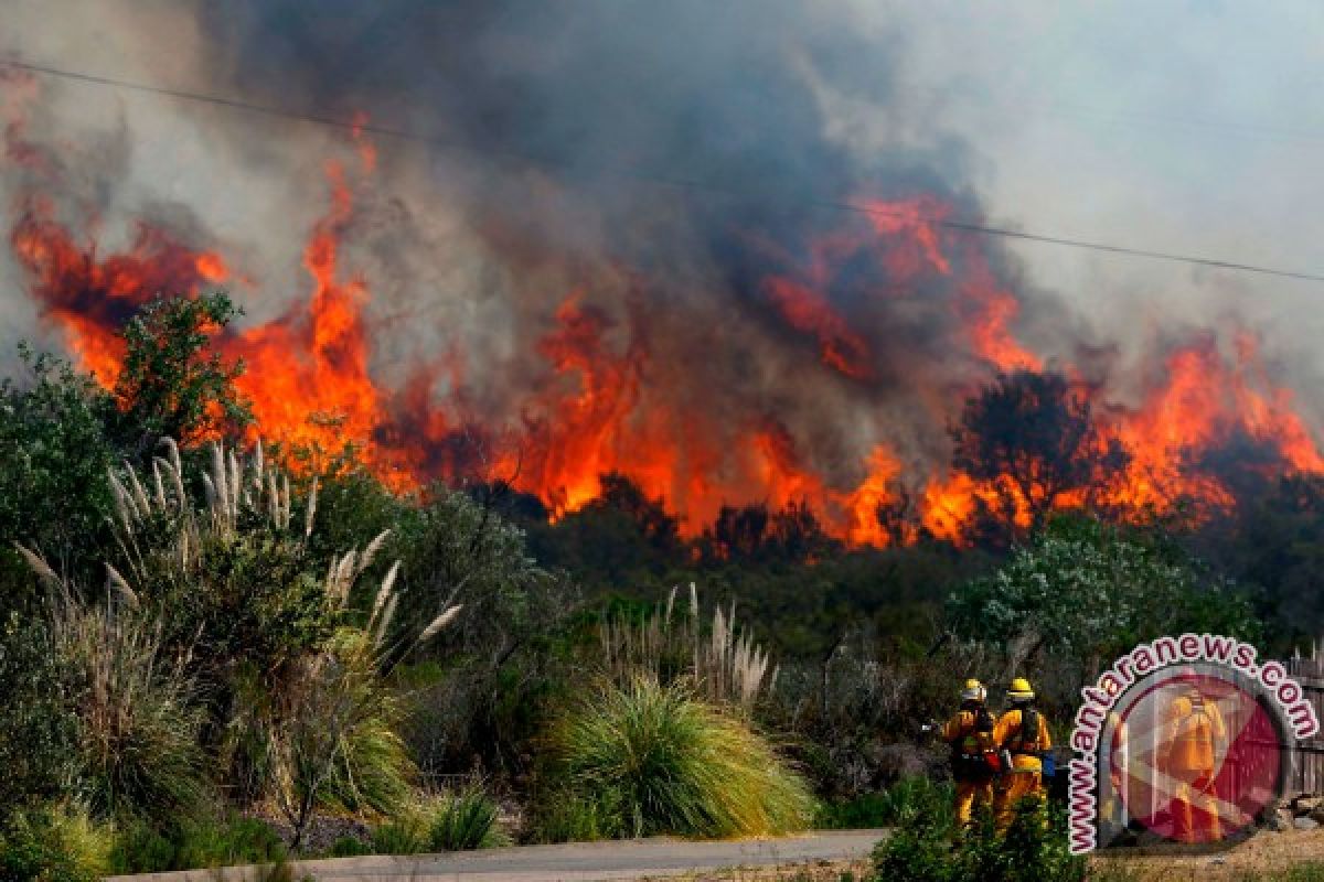 12 hektare lahan gambut di Aceh terbakar