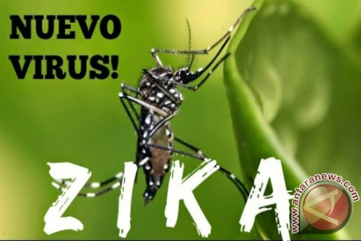 Tujuh kasus virus Zika, termasuk perempuan hamil, dilaporkan di Spanyol