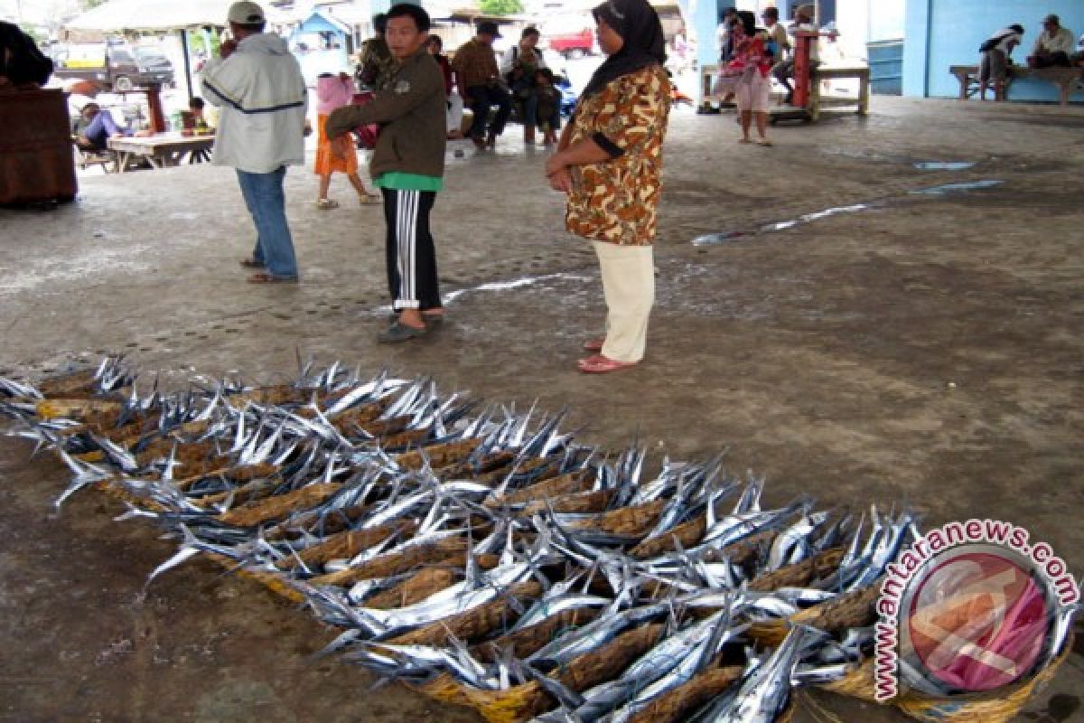 Potensi Perikanan Tangkap Jember Tergarap 22,5 Persen