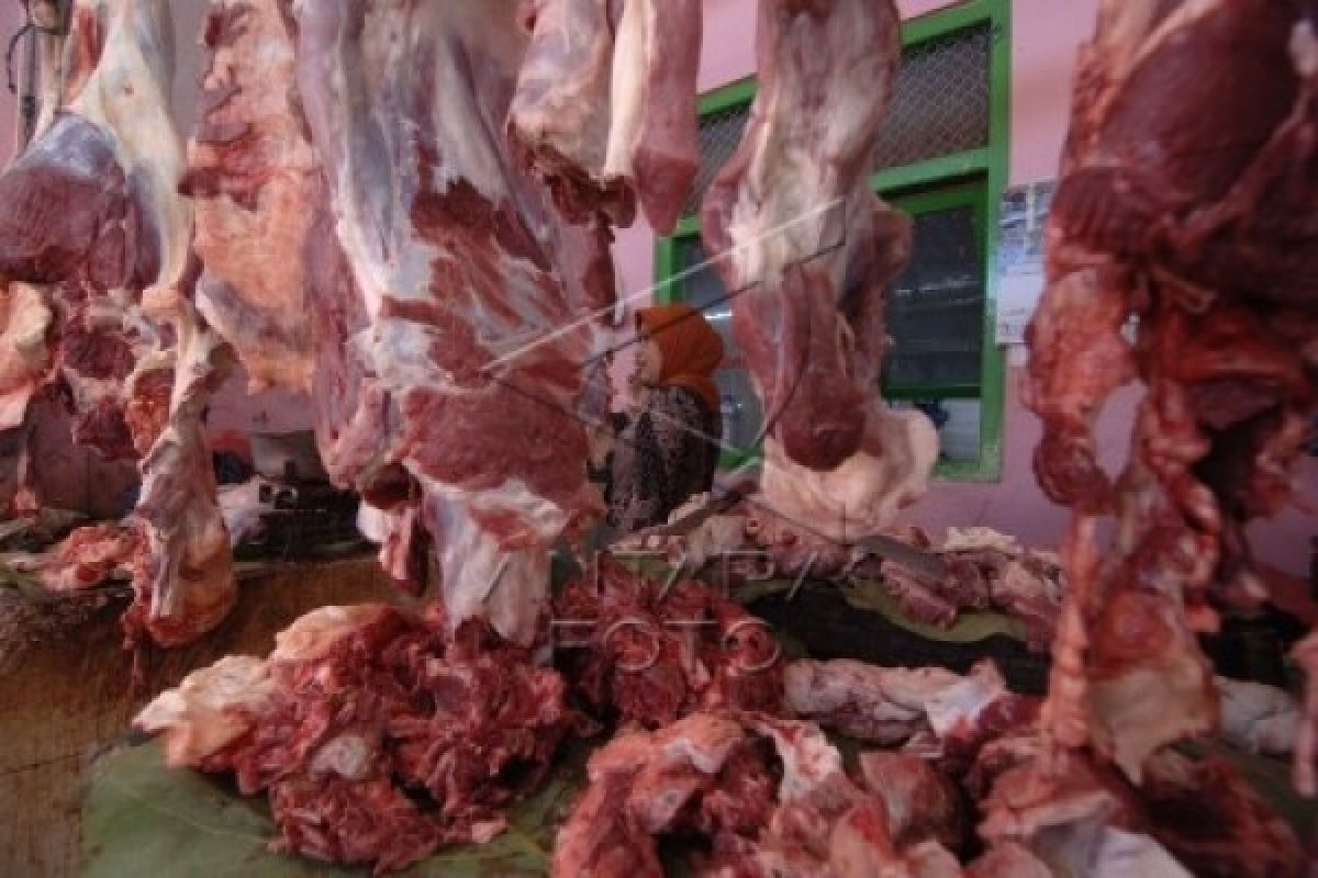 Pedagang Wates pesimistis harga daging sapi turun 