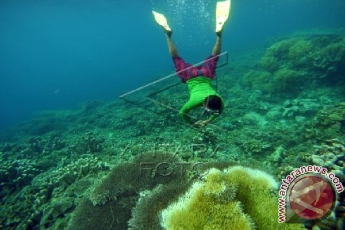 Taman Laut Olele Dipadati Pengunjung 