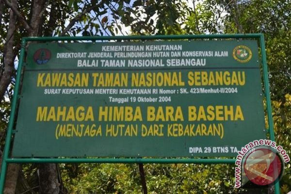 1000 Dam Akan Dibangun di TN Sebangau