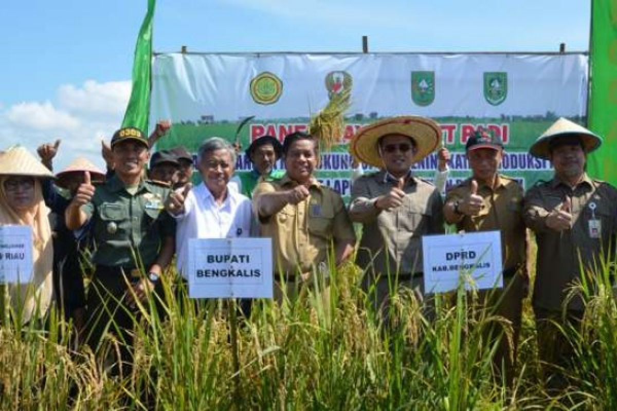 Dandim Bengkalis Semangati Petani Tingkatkan Produksi, Swasembada Adalah Harga Mati!!!