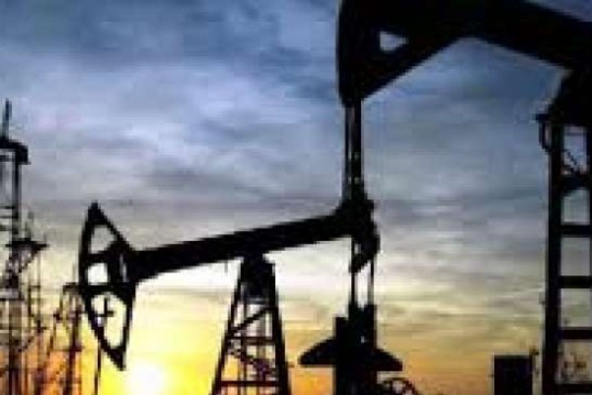 10 Tahun Tak Ada Kegiatan, Keberadaan Riau Petroleum Perlu Dievaluasi