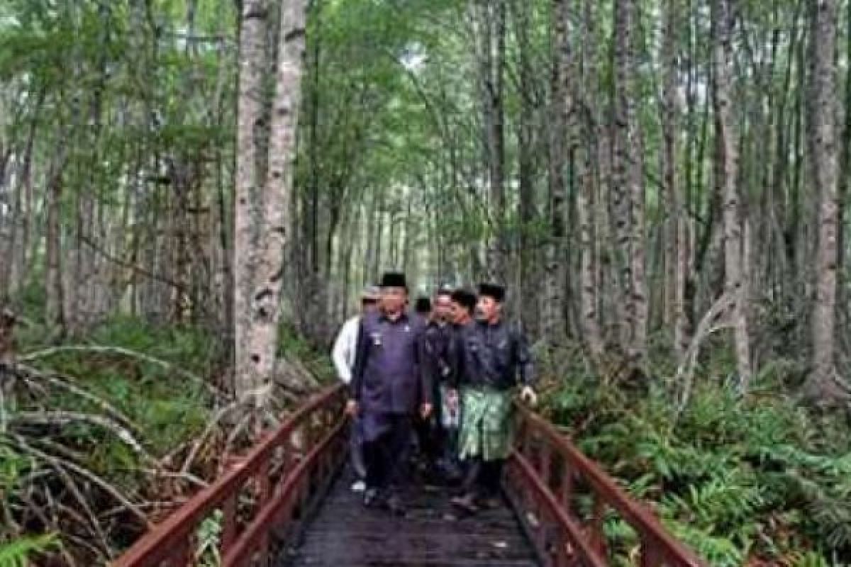 Pemkab Inhil Komitmen Pertahankan Kelestarian Hutan Mangrove